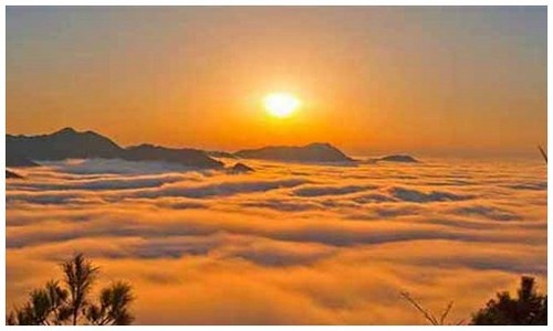 2026最新龙岛异兽新手入门安卓苹果都能玩吗？附平民开荒技巧