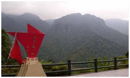 2026最新龙岛异兽新手入门电脑端如何安装，附龙种培养思路